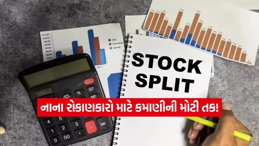 IB ઈન્ફોટેકનો મોટો ધડાકો: 1 શેરના બદલામાં મળશે 10 શેર 1 India 99.jpg.webp