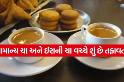 Irani cha 0205.jpg.webp