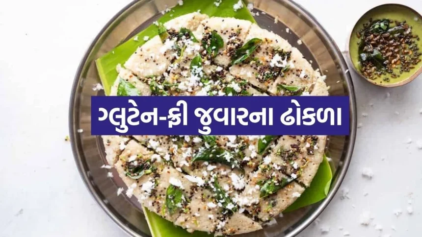 કાળઝાળ ગરમીમાં શરીરને ઠંડક આપશે સ્વાદિષ્ટ જુવારના લાઈવ ઢોકળા; નોંધી લો ઝટપટ રેસીપી 1 Jowar Dhokla 2505.jpg.webp
