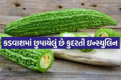 Karela 1805.jpg.webp