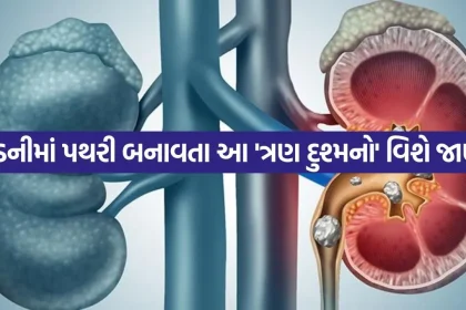 Kidney 0805.jpg.webp
