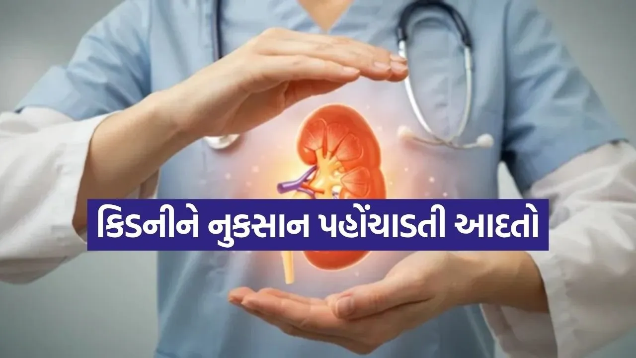 Kidney 2905.jpg.webp