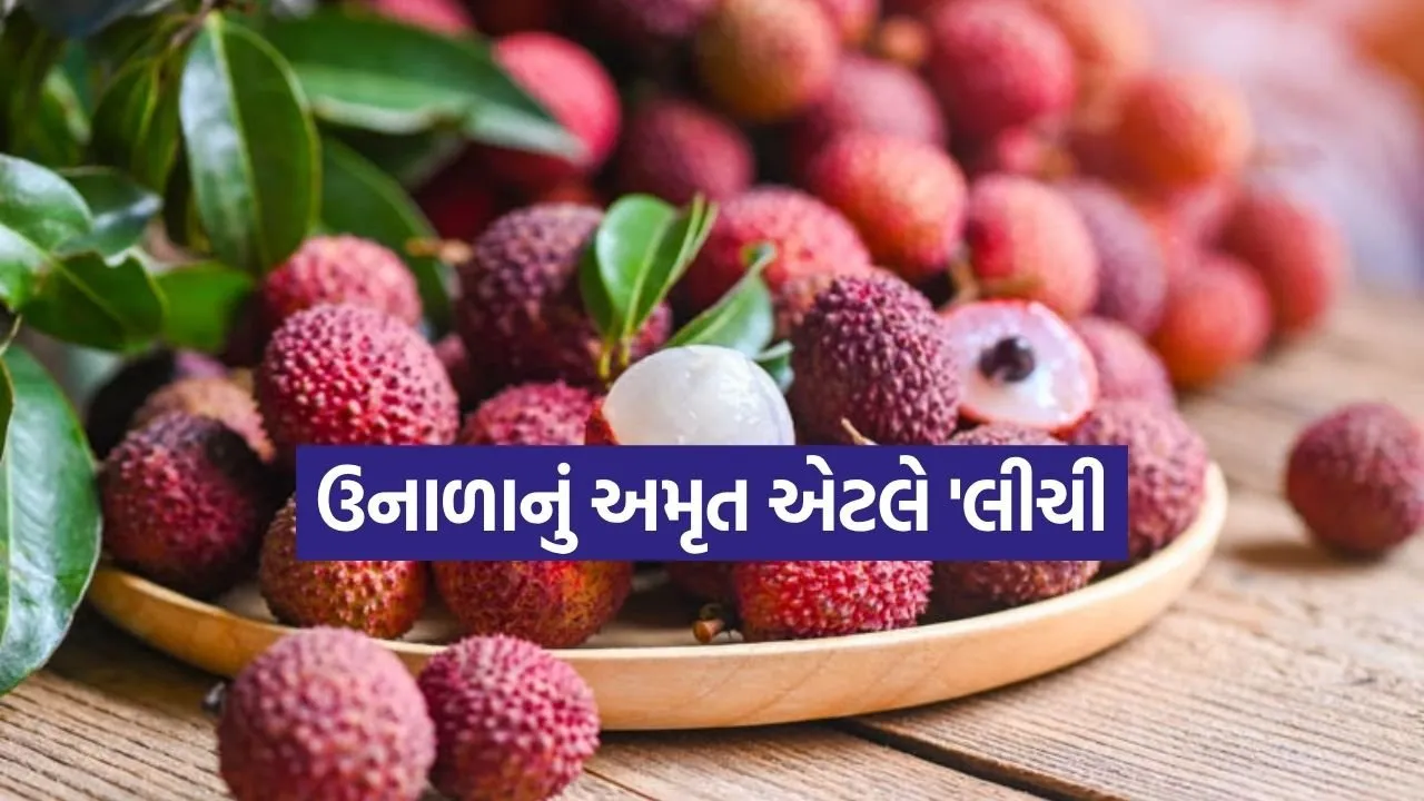 Lychee 2905.jpg.webp