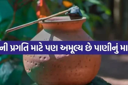 Matka 3005.jpg.webp