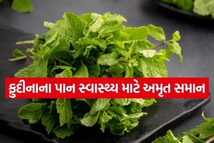 Mint 2905.jpg.webp