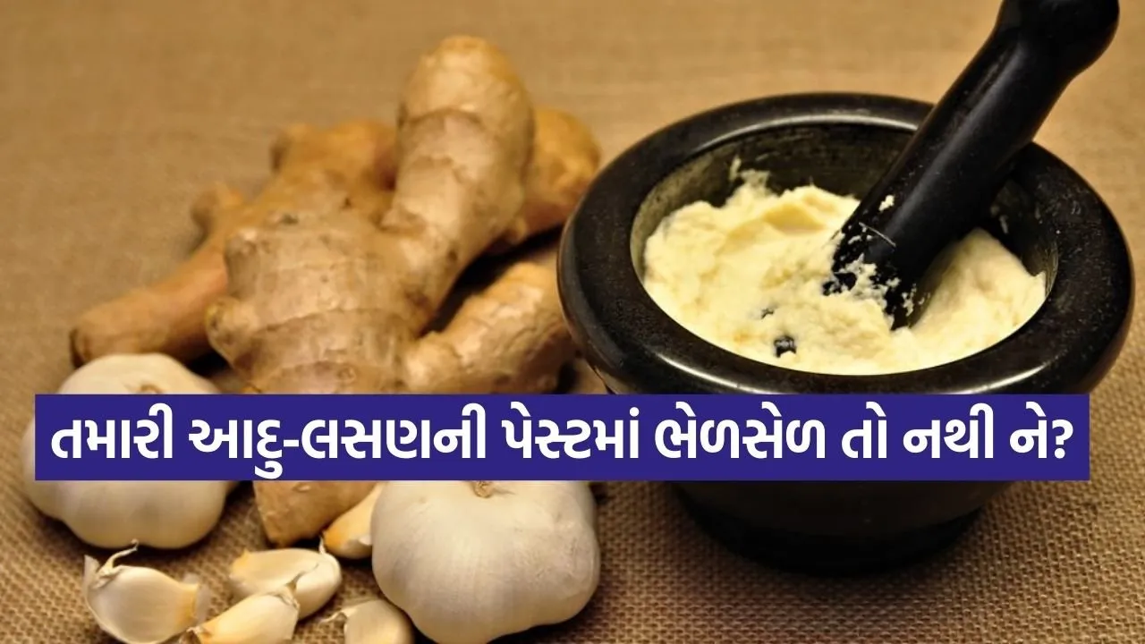 પેકેજ્ડ આદુ-લસણની પેસ્ટ ખાતા પહેલા આ રિપોર્ટ જરૂર વાંચો; કયા અંગોને થાય છે નુકસાન?