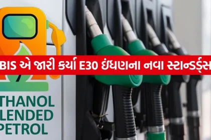 Petrol 2005.jpg.webp