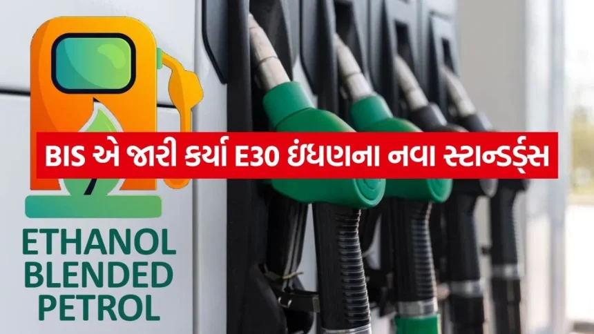 વૈશ્વિક તેલ સંકટ સામે ભારતનું મોટું કદમ: પેટ્રોલમાં 30% સુધી ઇથેનોલ ભેળવવા માટે સરકારે આટોપી લીધી તૈયારીઓ 1 Petrol 2005.jpg.webp