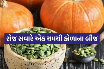 Pumpkin seeds 2305.jpg.webp