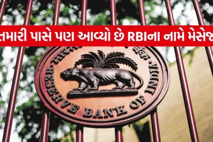 RBi 2505.jpg.webp