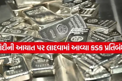 Silver 1705.jpg.webp