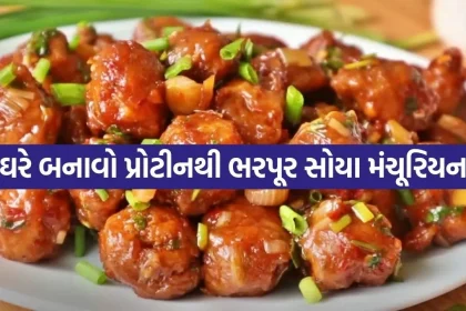 Soya Manchurian 3005.jpg.webp
