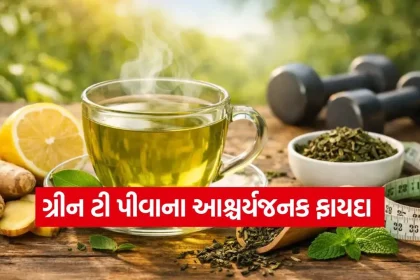 TEA 2402.jpg.webp