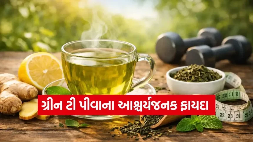 દરરોજ સવારે ગ્રીન ટી પીવાથી તમારા શરીરમાં શું બદલાશે? જાણો વિજ્ઞાન શું કહે છે 1 TEA 2402.jpg.webp