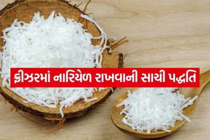 coconut 0805.jpg.webp
