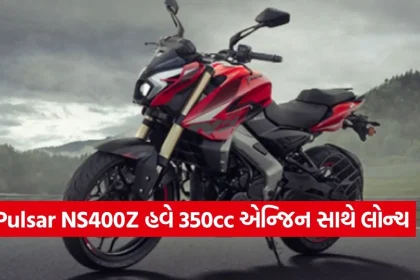 dharmishtha 1 12.jpg.webp
