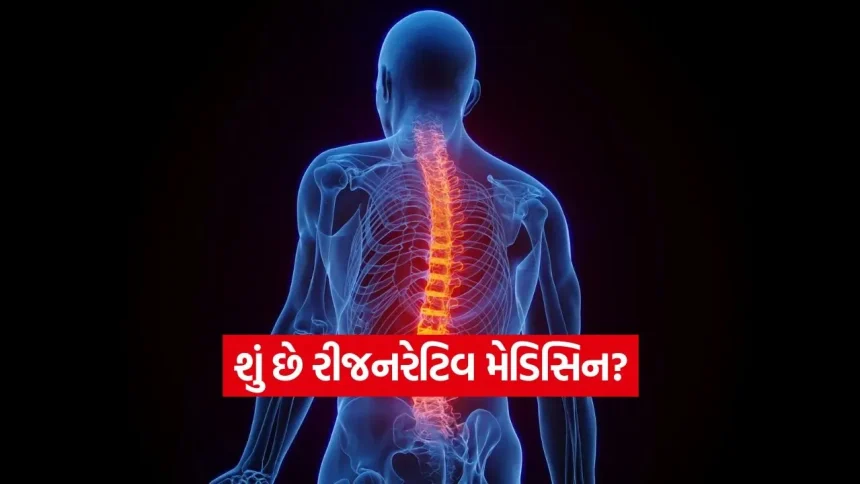 કરોડરજ્જુના દુખાવાથી પરેશાન છો? સ્ટીમ સેલ અને રીજનરેટિવ થેરાપી વિશે જાણો, જે સર્જરી વગર આપી શકે છે રાહત 1 dharmishtha 1 26.jpg.webp