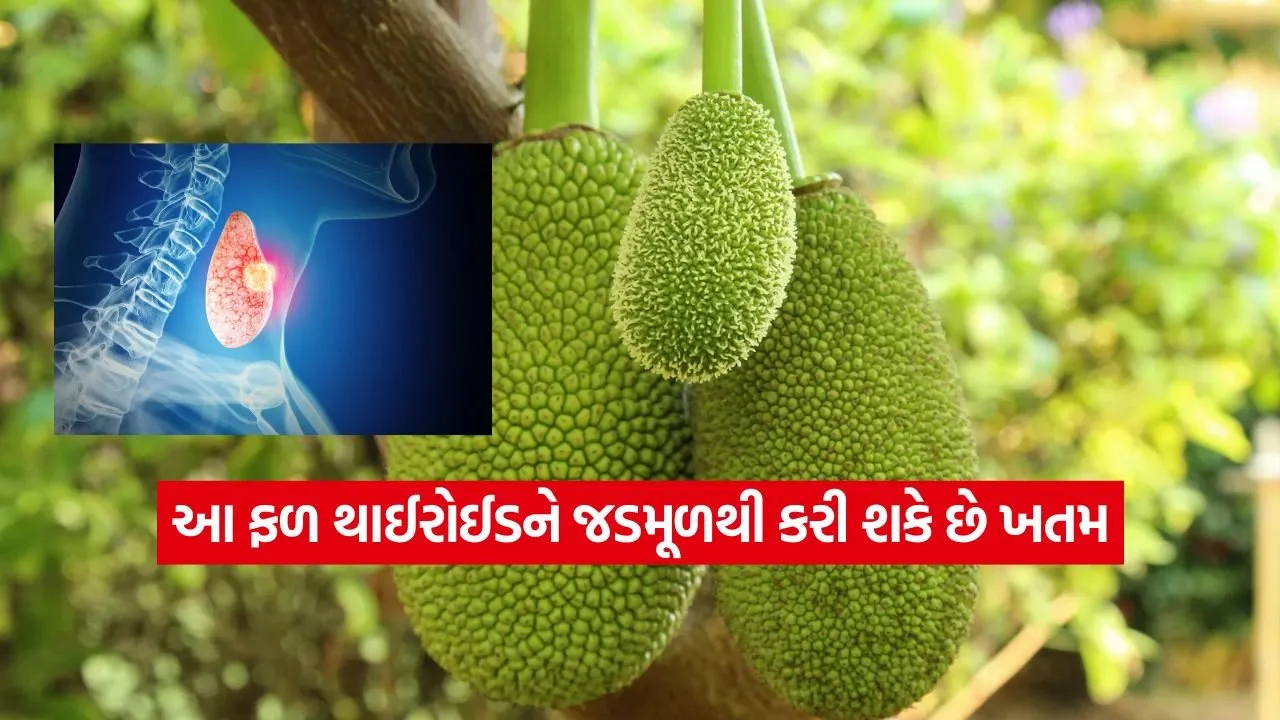 થાઈરોઈડના દર્દીઓ માટે અમૃત સમાન છે આ ખાસ ફળ, ડાયેટમાં સામેલ કરતા જ દેખાશે અસર