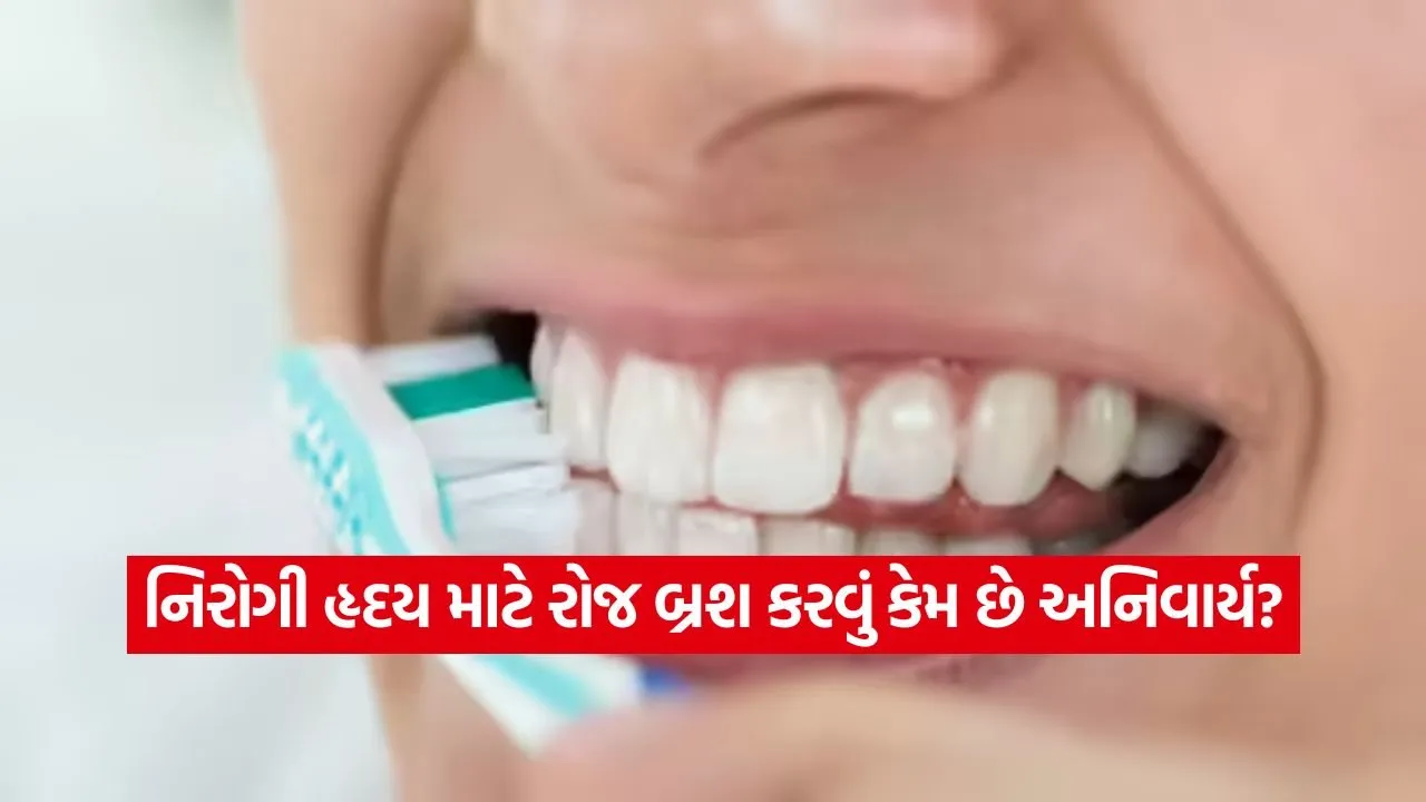 શું તમે પણ બ્રશ કરવામાં આળસ કરો છો? તો થઈ જજો સતર્ક, આ નાનકડી ભૂલ હૃદયને કરી શકે છે ફેઈલ