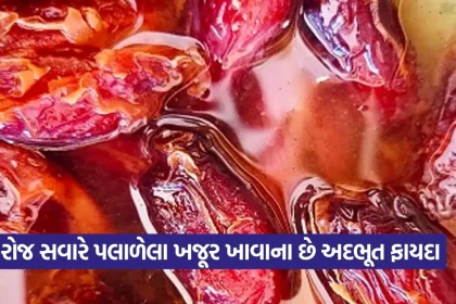 dharmishtha 1 64.jpg.webp