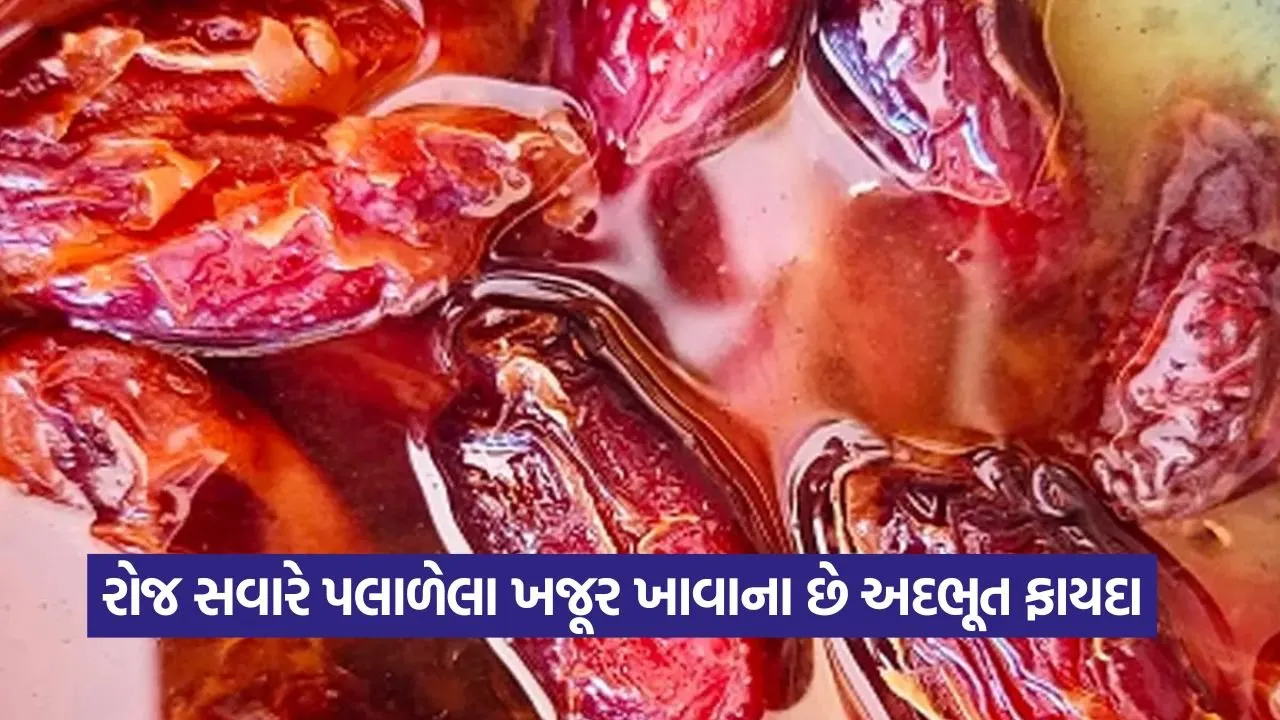 ડ્રાય ફ્રૂટ્સમાં સર્વશ્રેષ્ઠ છે પલાળેલા ખજૂર, રોજ ખાવાથી કમજોરી થશે દૂર અને મળશે જબરદસ્ત એનર્જી