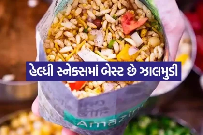 jhalmuri 0605.jpg.webp