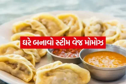 veg momos 2805.jpg.webp