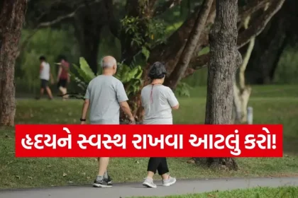 walk.jpg.webp