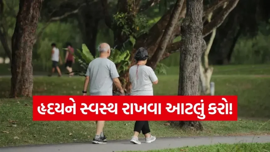 જો તમે ૩૦ દિવસ સુધી રોજ ૩૦ મિનિટ ચાલશો તો શું થશે? જાણો આ સરળ આદતના અદ્ભુત સ્વાસ્થ્ય લાભો 1 walk.jpg.webp