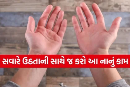 1781085279 Copy of Satya web temp 19.jpg.webp
