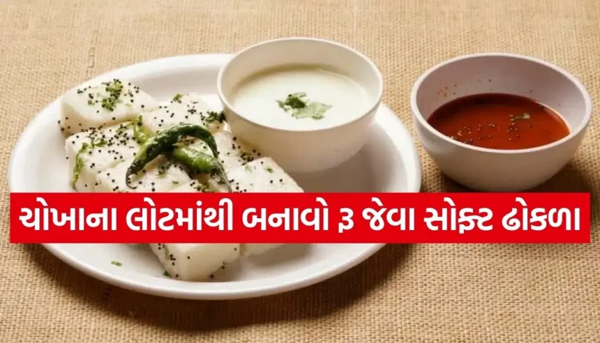 સાંજના નાસ્તામાં સમોસા-ભજિયાથી થયા છો બોર? મિનિટોમાં બનાવો આ જાળીદાર ચોખાના ઢોકળા 1 1781172199 Copy of Satya web temp 32.jpg.webp