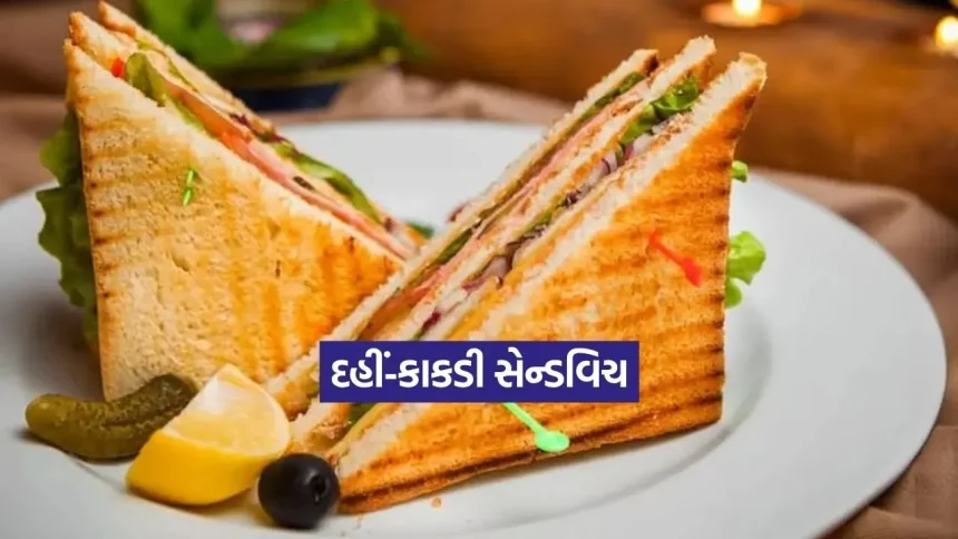 માત્ર 5 મિનિટમાં બનાવો ટેસ્ટી દહીં-કાકડી સેન્ડવિચ! 1 1781287625 dharmishtha 1 18.jpg.webp