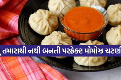 1781374375 Copy of Satya web temp 33.jpg.webp