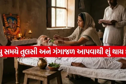 1781634104 Copy of Satya web temp 67.jpg.webp