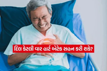 1781836620 dharmishtha 1 16.jpg.webp