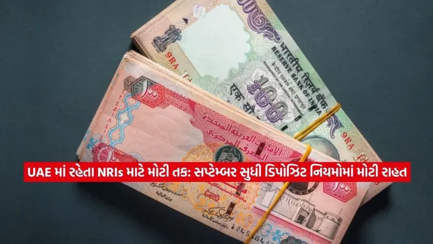 UAE ના NRIs: ડિપોઝિટના નિયમોમાં સપ્ટેમ્બર સુધી મોટી છૂટ, જાણો તમને શું થશે ફાયદો 1 1781893539 Dharmishtha 2.jpg.webp