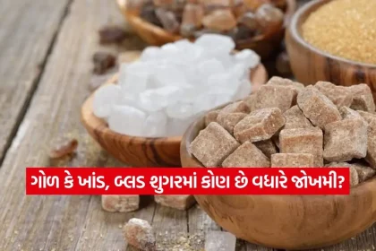 1781894350 dharmishtha 1 18.jpg.webp