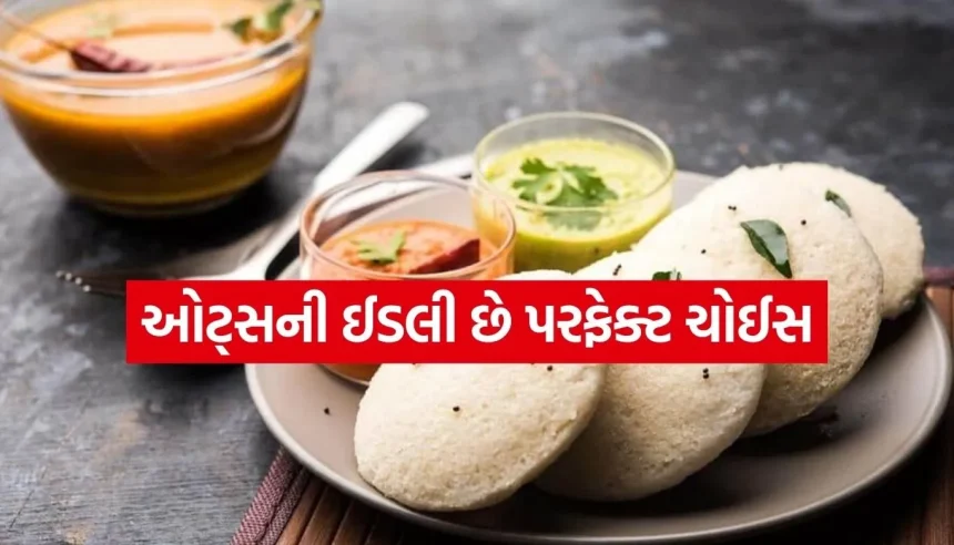 શું તમે પણ વજન ઘટાડવા માંગો છો? તો આજના નાસ્તામાં સામેલ કરો ઓટ્સની ઈડલી 1 1781923071 Copy of Satya web temp 15.jpg.webp