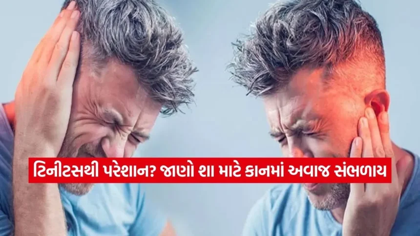 શું તમારા કાનમાં વારંવાર ઘંટડી કે સીટીનો અવાજ આવે છે? તો સાવધાન, આ હોઈ શકે છે ગંભીર બીમારીનો સંકેત! 1 1781923223 dharmishtha 1 16.jpg.webp