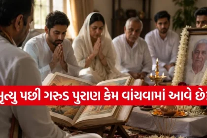 1782182740 Copy of Satya web temp 4.jpg.webp