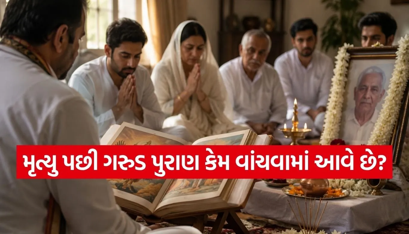 1782182740 Copy of Satya web temp 4.jpg.webp