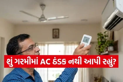 1782270170 Copy of Satya web temp 42.jpg.webp