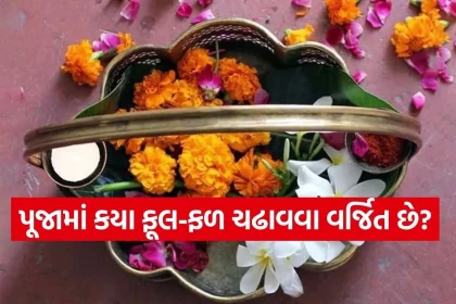 1782586791 Copy of Satya web temp 54.jpg.webp