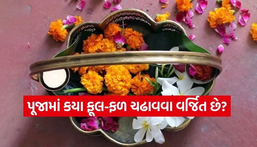 1782586791 Copy of Satya web temp 54.jpg.webp