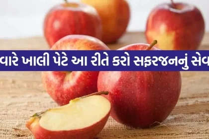 Apple 2606.jpg.webp