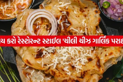 Chili Cheese Garlic Paratha 2006.jpg.webp