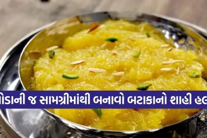 Copy of Satya web temp 4.jpg.webp