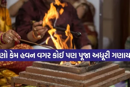 Copy of Satya web temp 43.jpg.webp
