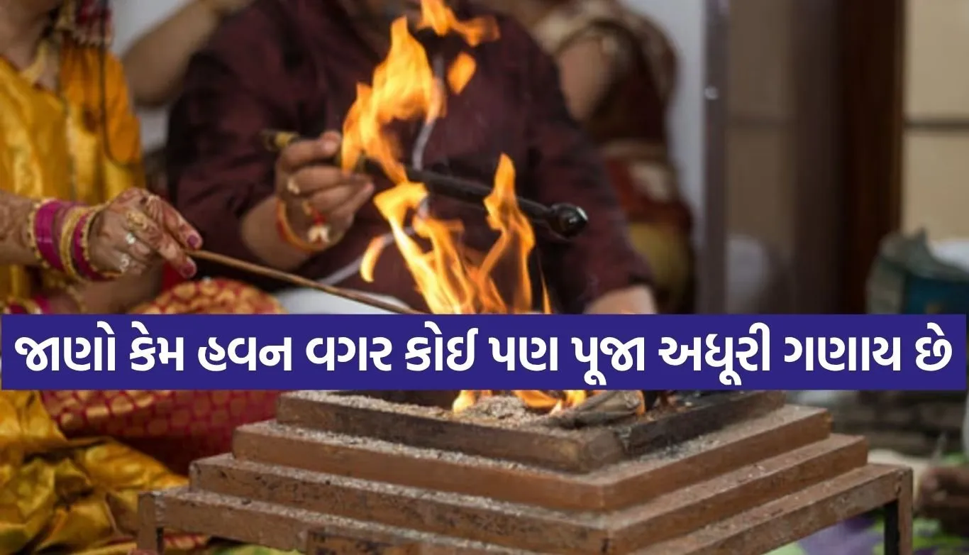 Copy of Satya web temp 43.jpg.webp