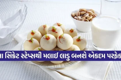 Copy of Satya web temp 44.jpg.webp